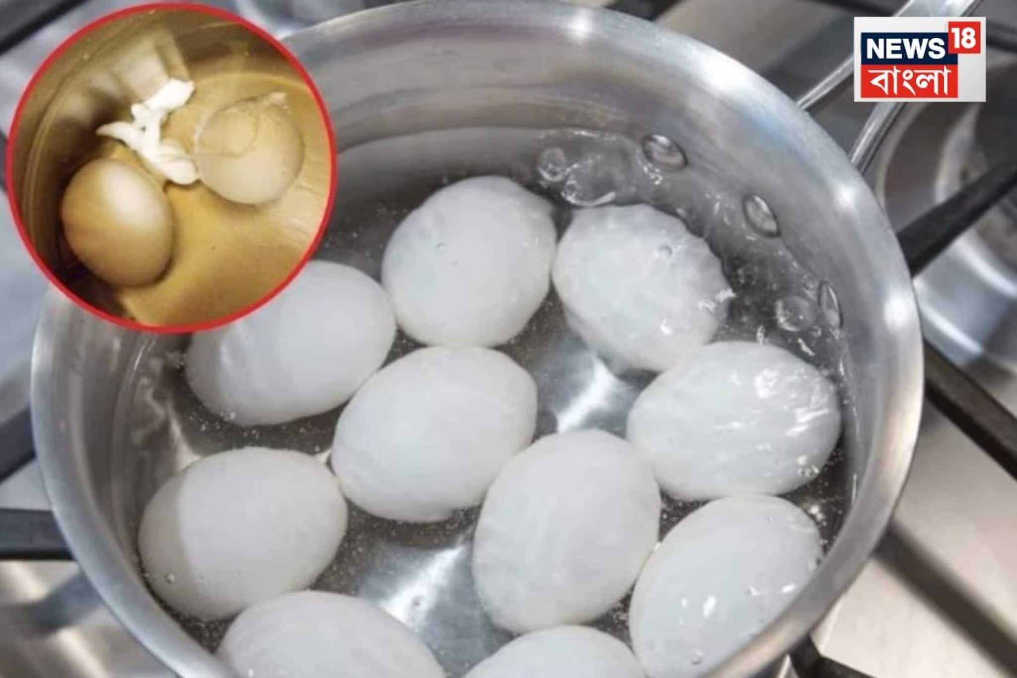 সিদ্ধ ডিম ছাড়াতে গিয়ে খুবলে বেরিয়ে আসে কুসুম, ছোট্ট ঘরোয়া টিপস-এ খুলে যাবে খোসা! সিদ্ধ ডিম ছাড়াতে গিয়ে খুবলে বেরিয়ে আসে কুসুম, ছোট্ট ঘরোয়া টিপস-এ খুলে যাবে খোসা!