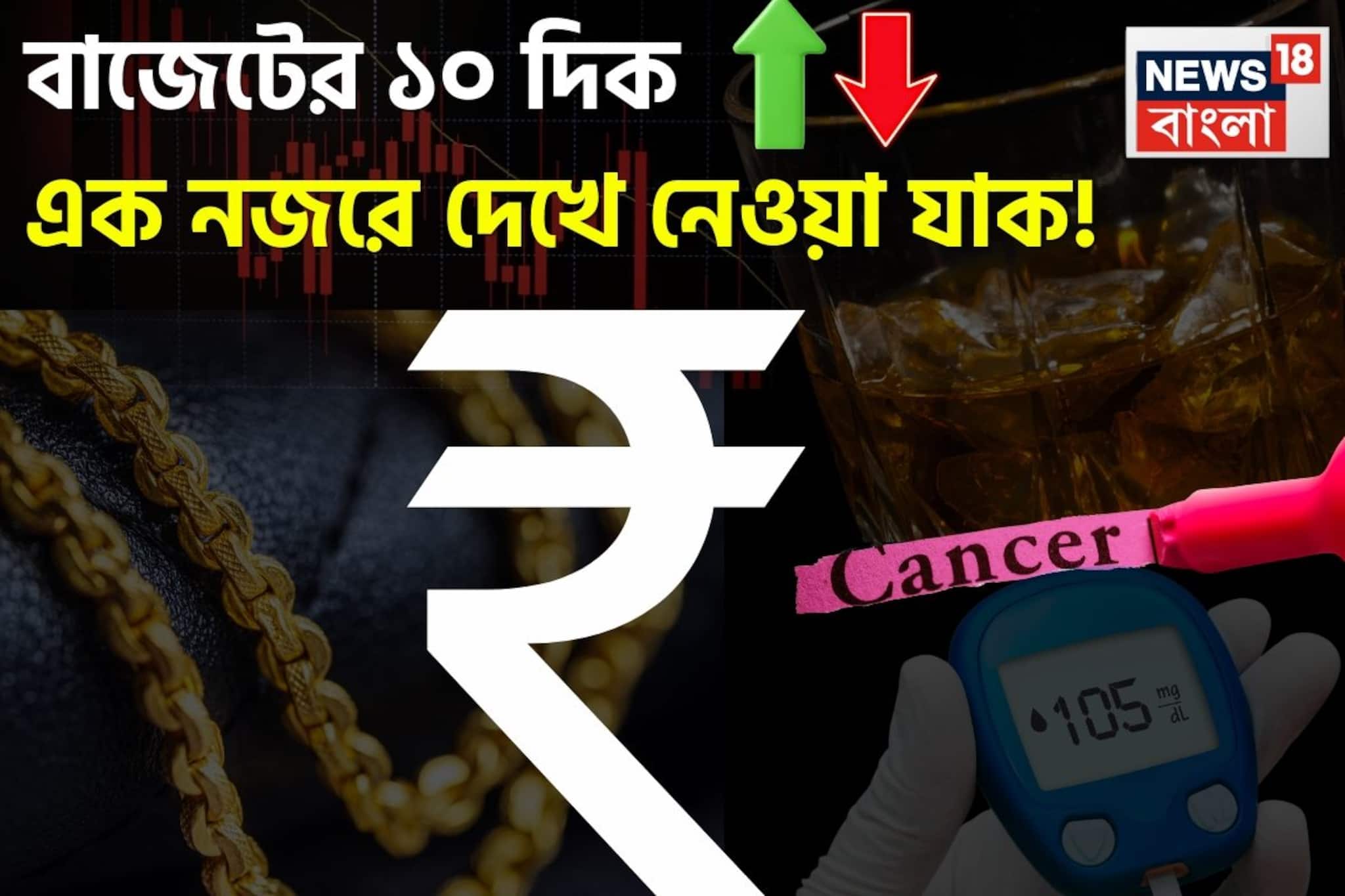 কর্মসংস্থান থেকে হাই স্পিড রেল ফ্রেট করিডর! দেখে নেওয়া যাক বাজেটের ১০ দিক