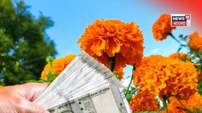 বাস্তু, গাঁদাফুল, গাঁদা গাছের বাস্তু টিপস, ব্যাঙ্ক ব্যালেন্স উপচে পড়বে, হুড়মুড়িয়ে ঢুকবে টাকা, গাঁদা ফুল গাছ বাড়িতে এইভাবে রাখুন, সংসারের শ্রী-বৃদ্ধি আটকাতে পারবে না কেউ, বাস্তু, বাস্তু টিপস, বাস্তুশাস্ত্র, গাঁদাফুল, গাঁদা ফুলের বাস্তু টিপস, গাঁদা ফুল গাছ, টাকা পয়সা, আর্থিক উন্নতি, প্রতিকার, বস্তু প্রতিকার, গাঁদা গাছের দিক, উত্তর পূর্ব দিক, গাঁদা গাছ লাগানোর নিয়ম, এই নিয়মে লাগান গাঁদা গাছ, বাস্তুদোষ, এই ভাবে গোলাপ ফুল রাখলে বাস্তু দোষ মুক্ত হবে, বাস্তু, বাস্তুদোষ, টাকা, গাছ, মা লক্ষ্মী, বিষ্ণু, ফুল, গাঁদা ফুল দিয়ে বাস্তু উপায়, বাস্তুমতে কোন গাছ রাখবেন, বাস্তু মতে কোন গাছ রাখা বারণ, গাছের বস্তু টিপস, করলা গাছ, করলা বাস্তু টিপস, মশলার বাটি, আয়না, ঝাঁটা, ঝাঁড়ু, ঝাঁড়ু বাস্তু টিপস, পায়রা, পায়রার পালক, গাঁদাফুল, জবাফুল, গাঁদা ফুলের বাস্তু উপায়, গ্যাস ওভেন, গ্যাস ওভেনের বাস্তু, বাংলা, বাঙালির রান্নাঘর, কোনদিকে গ্যাস ওভেন থাকা উচিত, কোন খানে রান্নাঘর থাকা উচিত নয়, অপরাজিতা ফুল, অপরাজিতা গাছের বাস্তুশাস্ত্র, বাস্তু টিপস অপরাজিতা ফুল, ঘড়ির বাস্তুশাস্ত্র, ঘড়ি কোন দেওয়ালে লাগানো উচিত, লেবুর টোটকা, লেবুর উপায়, লেবুপাতাতেই চমৎকার 