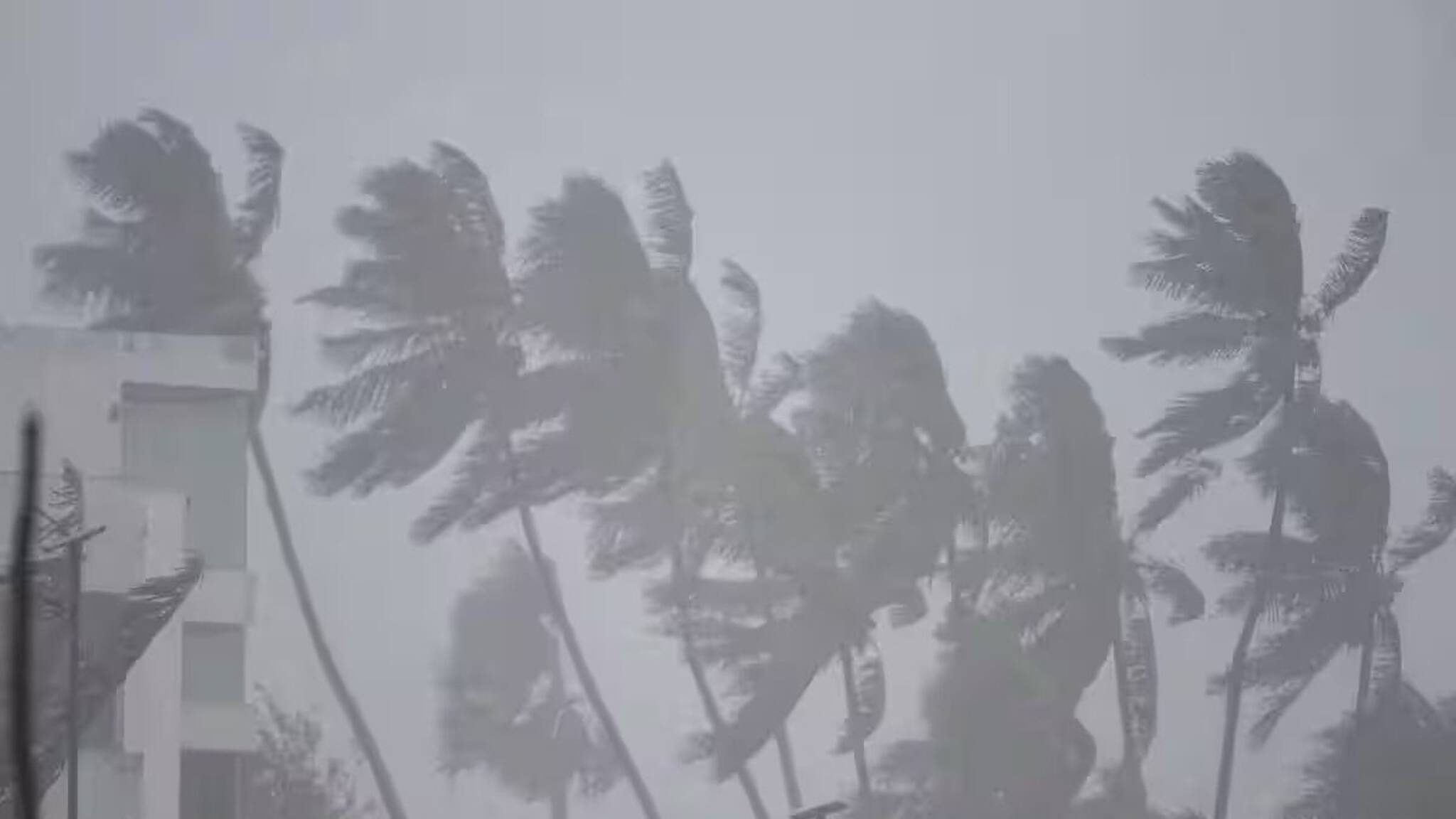 IMD Weather Update: ১৭, ১৮, ১৯ ফেব্রুয়ারি থেকে শুরু...! মুষলধারে বৃষ্টি, বজ্রবিদ্যুৎ কাঁপাবে ৯ রাজ্য, কবে থেকে ৩০ ডিগ্রির চাঁদি ফাটা গরম?  কী হবে বাংলায়? জানিয়ে দিল IMD