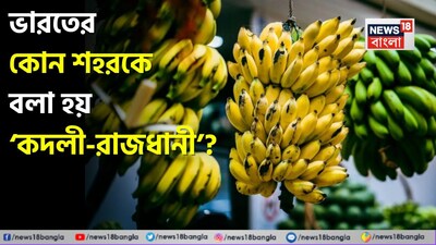 जलगांव: भारत की 'केला राजधानी' का खुलासा! जानिए केले के उत्पादन का पावरहाउस.