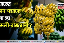 GK: Banana Capital of India: এখানেই প্রচুর পরিমাণে জন্মায় সেরা স্বাদের কলা! বলুন তো ভারতের কোন শহরকে বলা হয় ‘কদলী-রাজধানী’? সঠিক উত্তর আপনি জানেন না! গ্যারান্টি!