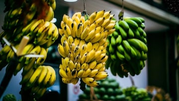 সেরা স্বাদের কলা! ভারতের কোন শহরকে বলা হয় ‘কদলী-রাজধানী’? সঠিক উত্তর জানেন না! গ্যারান্টি