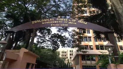 জুলজিক্যাল সার্ভে অফ ইন্ডিয়া-তে গবেষণার সুযোগ জুলজিক্যাল সার্ভে অফ ইন্ডিয়া-তে গবেষণার সুযোগ