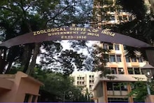 Job News in Zoological survey of India: কলকাতা-সহ ৭ কেন্দ্রে কাজের দারুণ সুযোগ, গবেষক খুঁজছে জুলজিক্যাল সার্ভে অফ ইন্ডিয়া! আজই আবেদন করুন