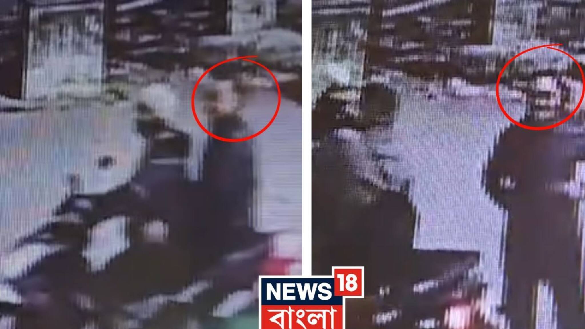 Aamir Khan and Arijit Singh:অরিজিতের স্কুটি চেপেই জিয়াগঞ্জের কলেজে আমির খান,ইন্ডোর গেমস হলে ব্যাডমিন্ট খেলা...ভাইরাল ভিডিওতে 'আমিরি খুশবু'