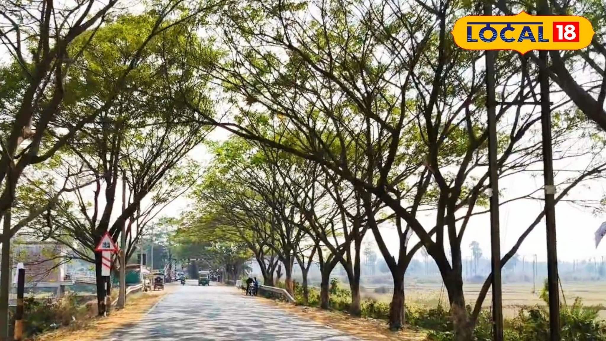 পঞ্চায়েতের ছোট্ট প্ল্যানে পুরুলিয়ায় 'ম্যাজিক'! খাঁ খাঁ করা এই রাস্তাতেই এখন সেলফি জোন