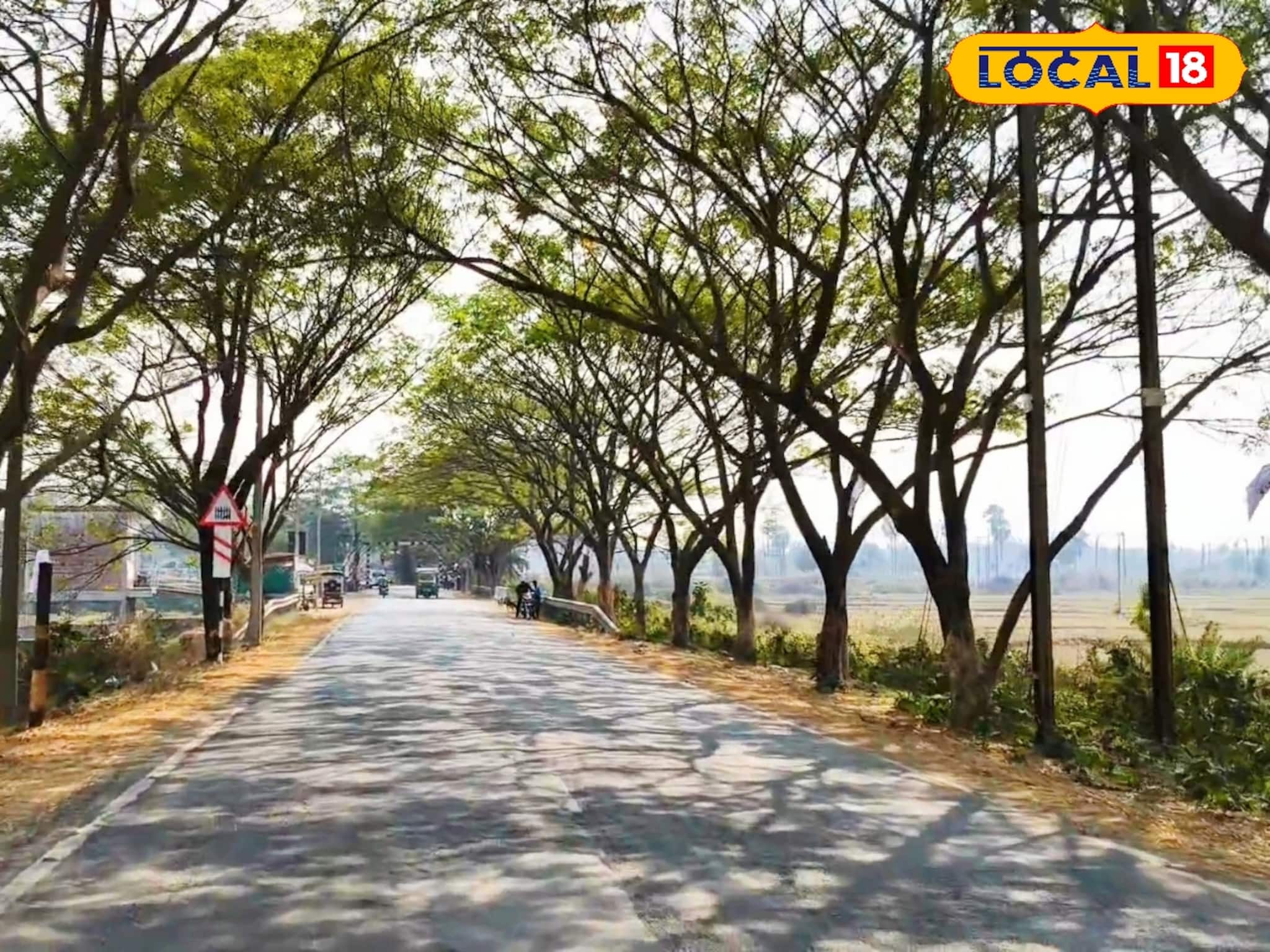 পঞ্চায়েতের ছোট্ট প্ল্যানে পুরুলিয়ায় 'ম্যাজিক'! খাঁ খাঁ করা এই রাস্তাতেই এখন সেলফি জোন