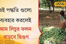 এই পদ্ধতিগুলো মানলেই গাছ ভর্তি হবে আম লিচুতে! দেখে নিন