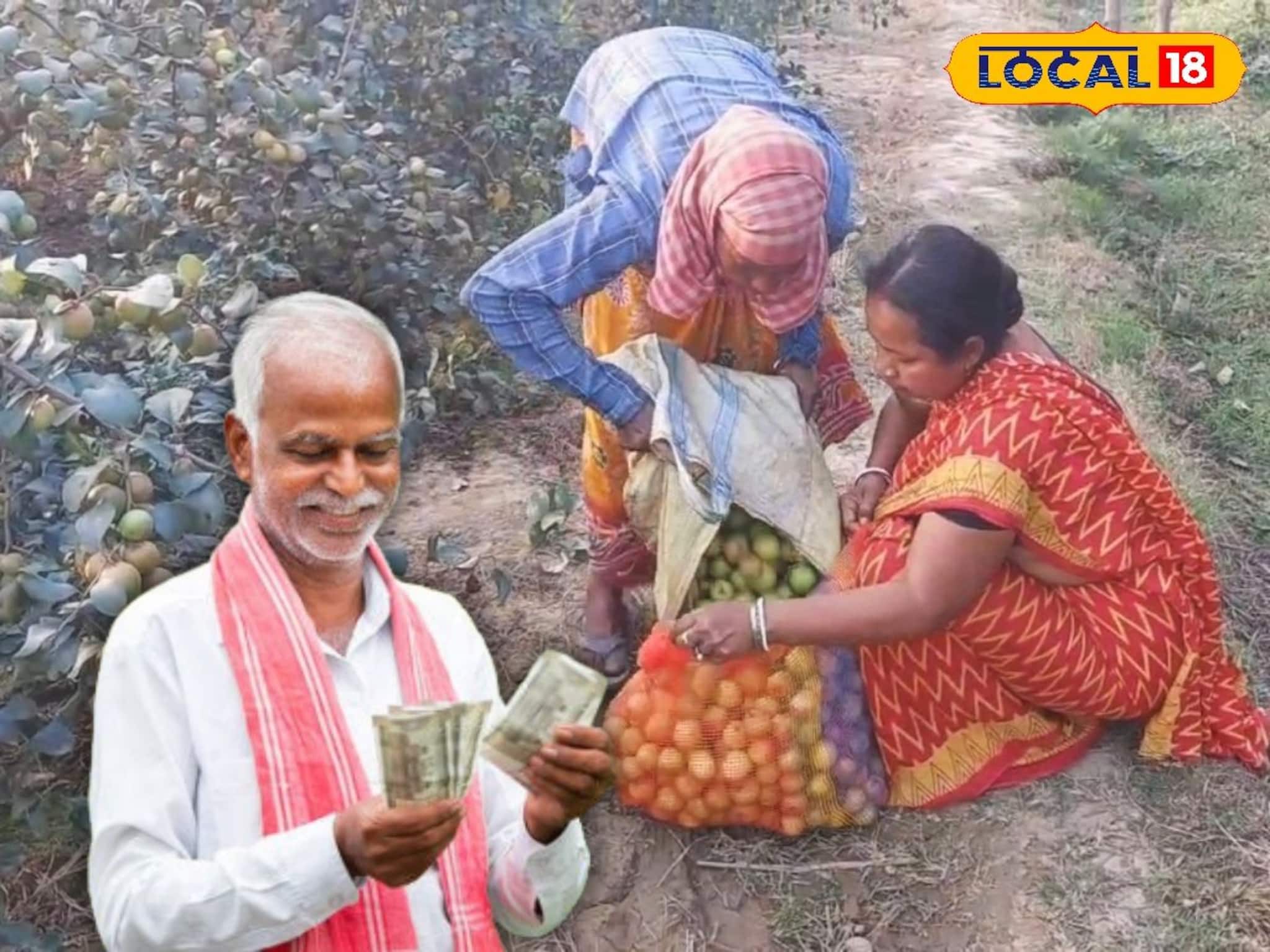 বিঘাতে হেসেখেলে লাভ ৬০ হাজার, এই চাষে মুখে হাসি বর্ধমানের চাষিদের