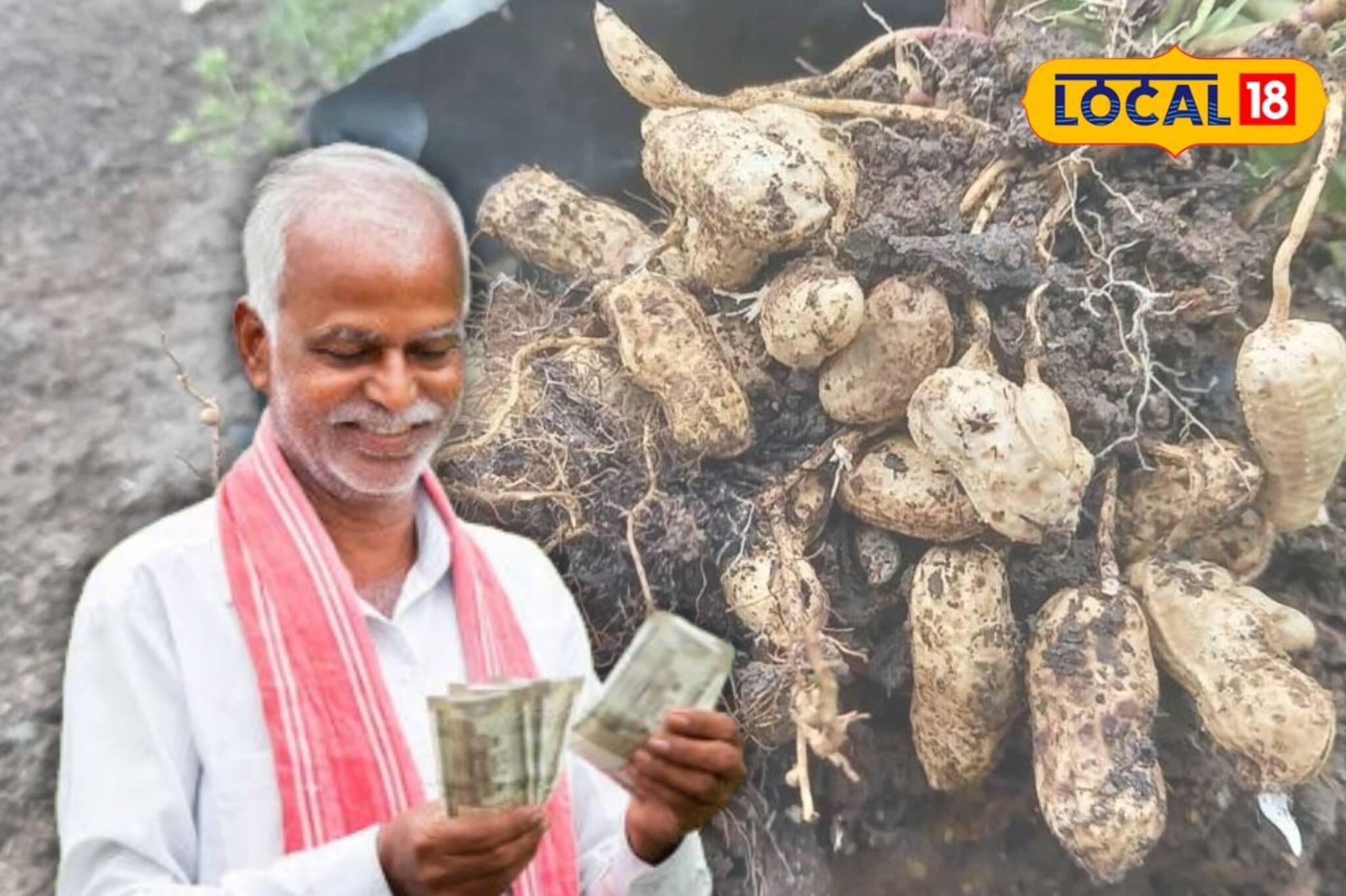 গতে বাঁধা চাষে ইতি! পদ্ধতি বদলাতেই কেল্লাফতে!এবার বাদাম চাষে বিপুল লাভের মুখ দেখছেন চাষিরা
