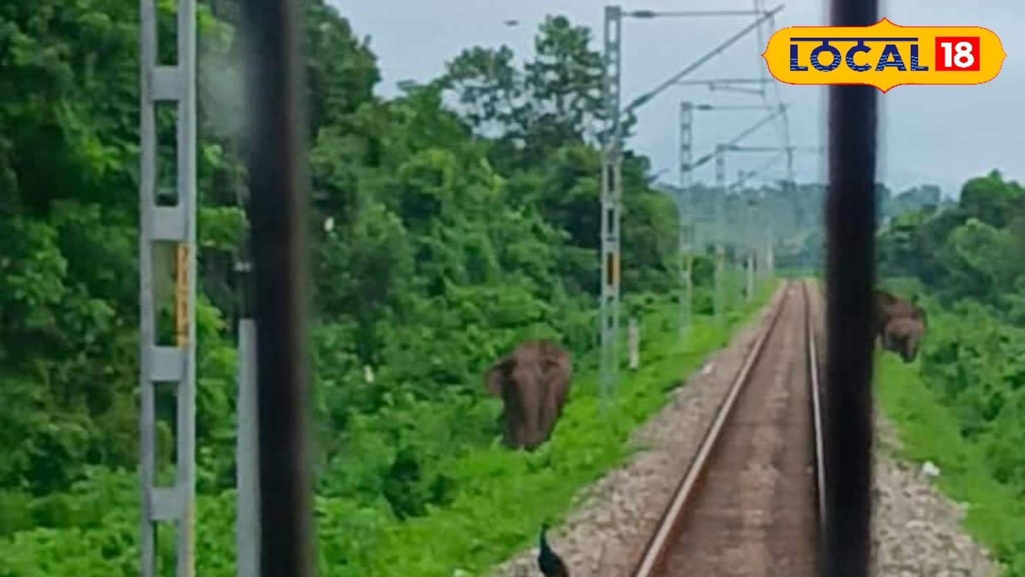 নয়া ইতিহাসের পথে রেল, হাইটেক ক্যামেরা রুখে দেবে দুর্ঘটনা! নতুন ডিভাইসে বাঁচবে বহু প্রাণ