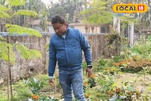 Kitchen Garden: বাগান থেকে তুলে সোজা রান্নাঘরে, পাতে ভরপুর পুষ্টি! স্কুলেই ব্রকলি, পালং শাকের চাষ, মিড-ডে-মিলে জিভে জল আনা মেনু