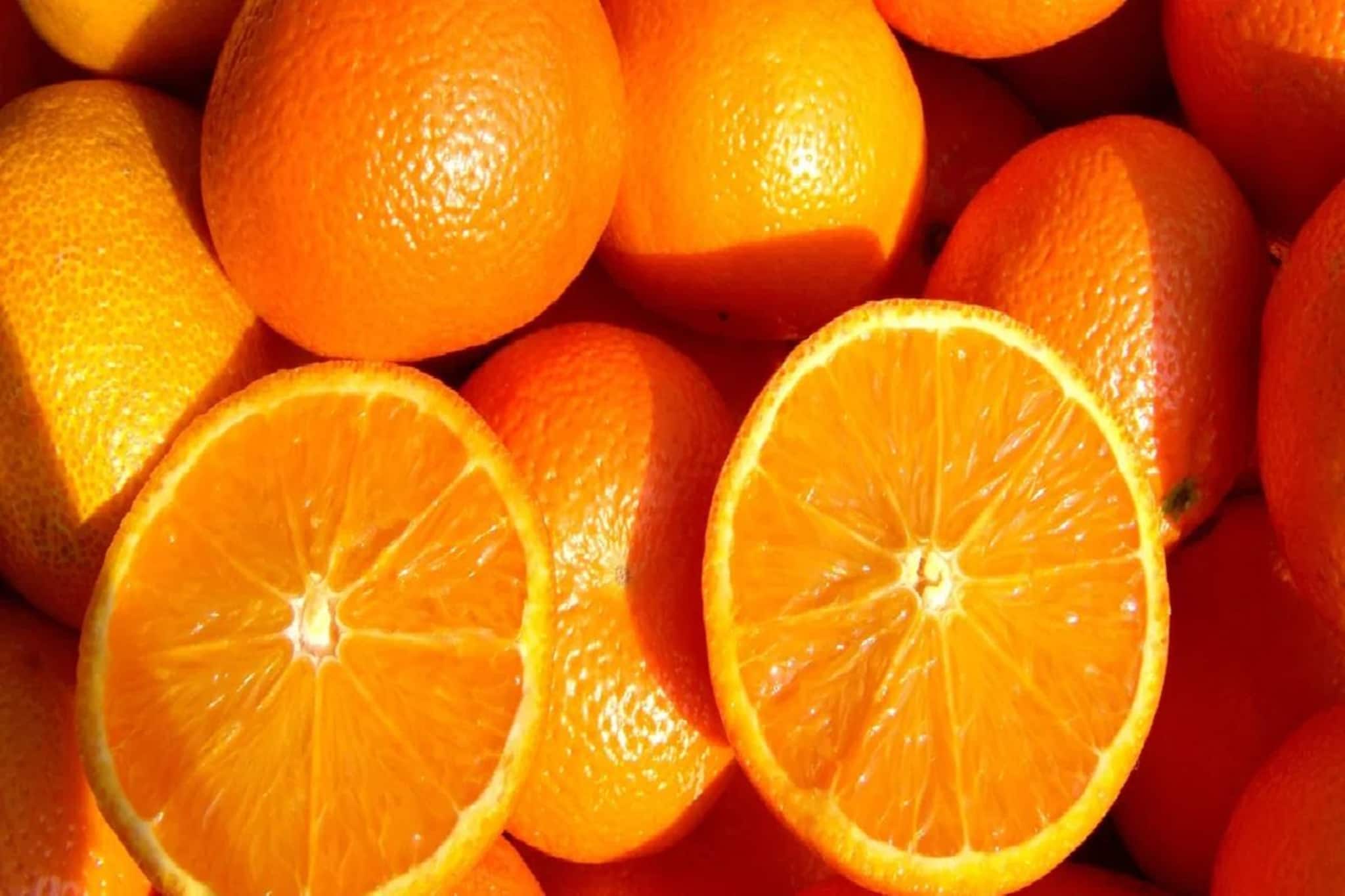 কমলালেবুর বদলে মাল্টা লেবু কিনছেন? জানেন এই ফলে শরীরে কী হচ্ছে?পরের বার কেনার আগে জেনে নিন