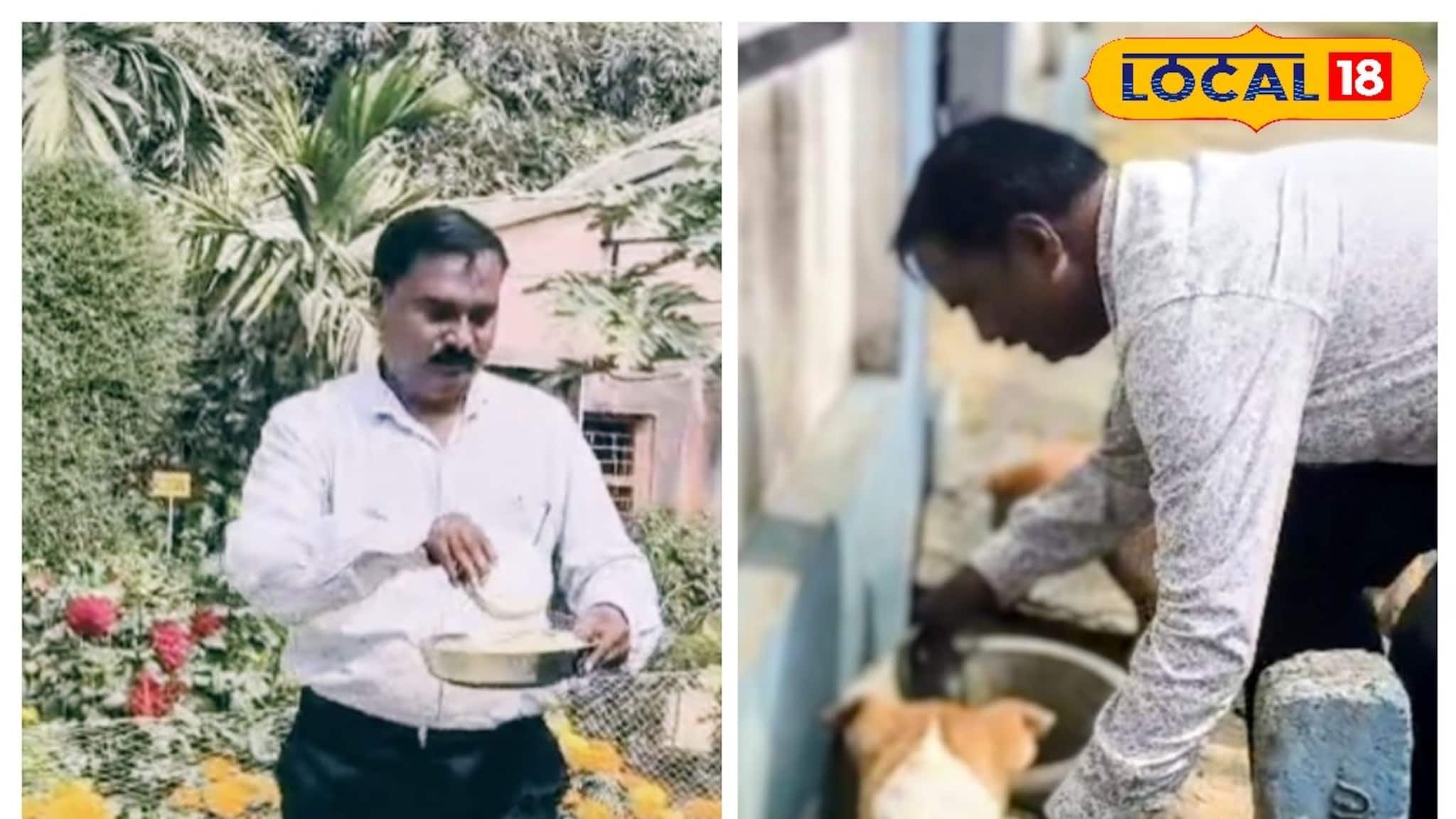 মিড-ডে-মিলে পড়ুয়াদের সঙ্গে পেট ভরে পথকুকুরদের, এই স্কুলে প্রধান শিক্ষকের কাজে মুগ্ধ সবাই