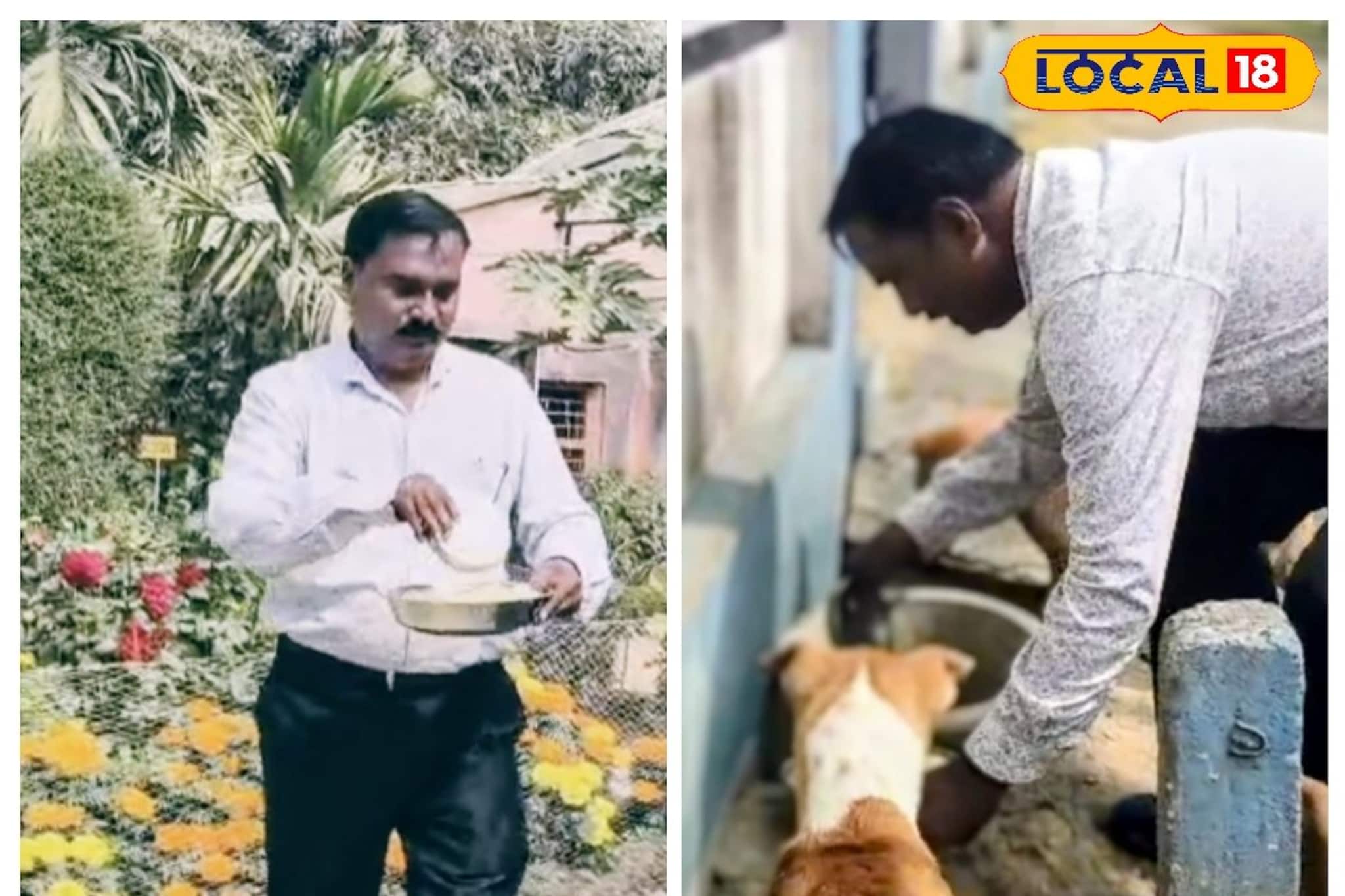 মিড-ডে-মিলে পড়ুয়াদের সঙ্গে পেট ভরে পথকুকুরদের, এই স্কুলে প্রধান শিক্ষকের কাজে মুগ্ধ সবাই মিড-ডে-মিলে পড়ুয়াদের সঙ্গে পেট ভরে পথকুকুরদের, এই স্কুলে প্রধান শিক্ষকের কাজে মুগ্ধ সবাই