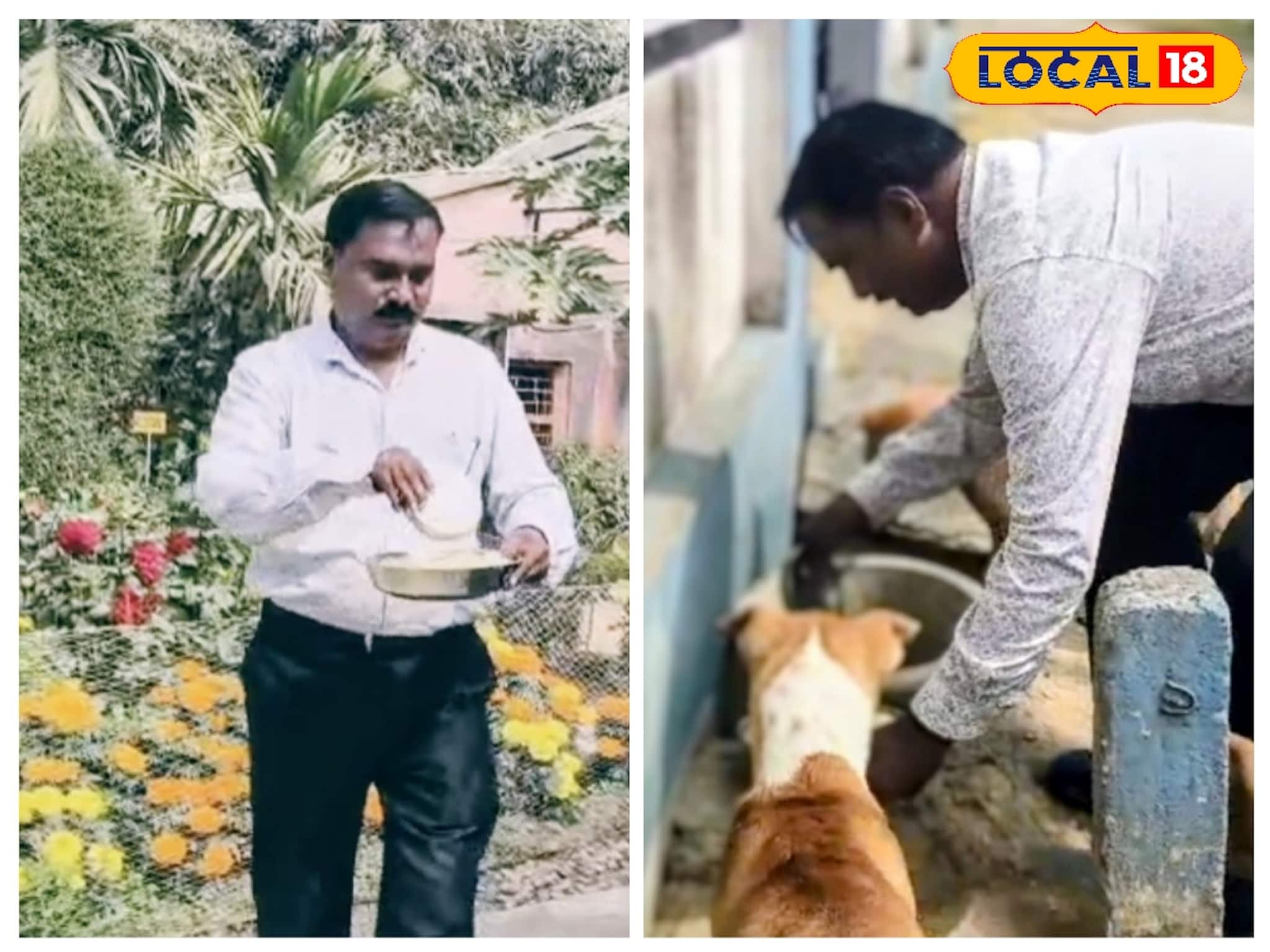 মিড-ডে-মিলে পড়ুয়াদের সঙ্গে পেট ভরে পথকুকুরদের, এই স্কুলে প্রধান শিক্ষকের কাজে মুগ্ধ সবাই