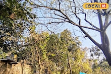 Bankura News: দানবীয় গাছের আতঙ্কে রাতের ঘুম উড়েছে, বাইরে যেতেও ভয়! রেলে অভিযোগ করেও হয়নি লাভ