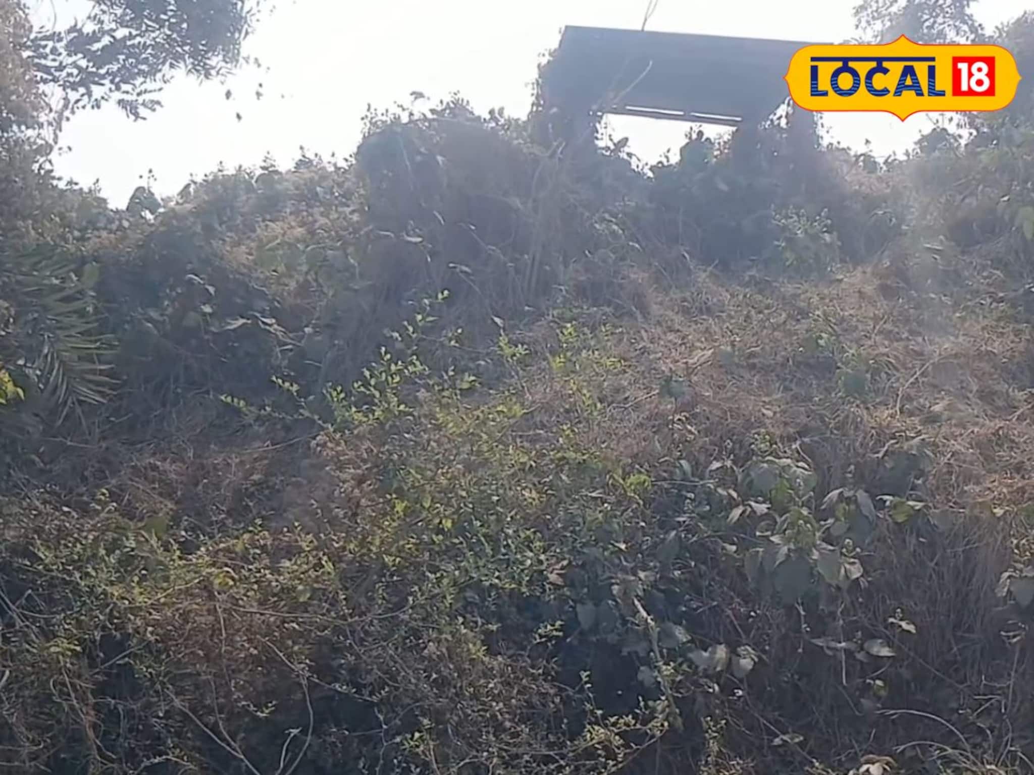 বিস্মৃতির অতলে বড়শুলের নীলকুঠি,সংরক্ষণের অভাবে হারিয়ে যাচ্ছে নীল বিদ্রোহের সাক্ষী