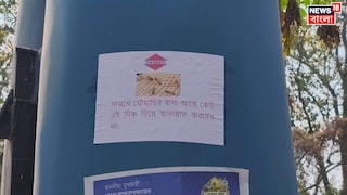 মৌমাছির আতঙ্ক মৌমাছির আতঙ্ক