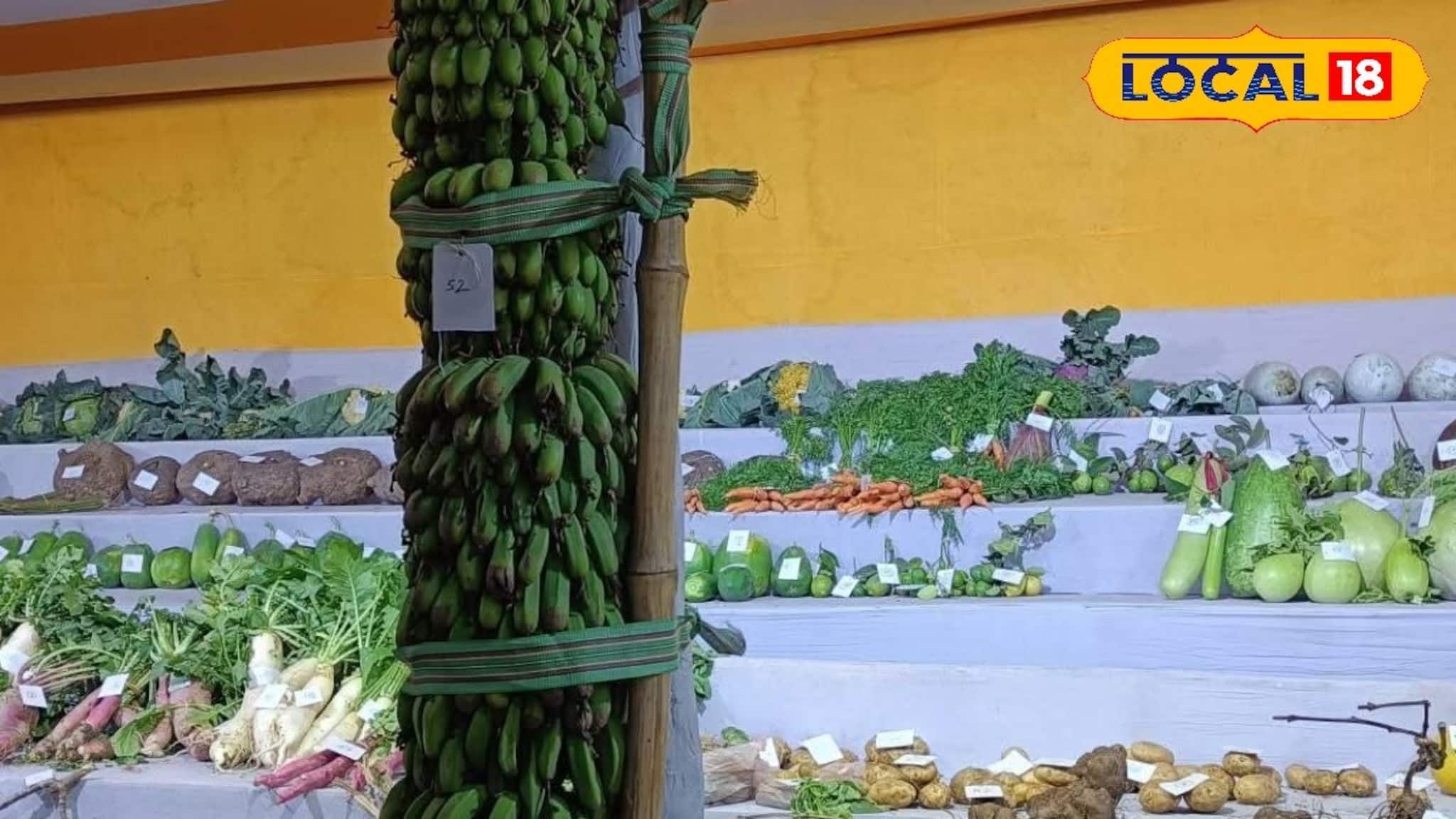 মানুষের থেকে লম্বা কলার কাঁদি, ইয়া বড় বড় বেগুন, লাউ, মুলো! দেখার জন্য হামলে পড়ছে মানুষ