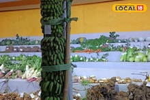 Birbhum News: মানুষের থেকে লম্বা কলার কাঁদি, ইয়া বড় বড় বেগুন, লাউ, মুলো! দেখার জন্য হামলে পড়ছে মানুষ