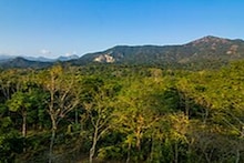 বক্সাতে ইতিহাস! নিজেদের উদ্যোগে পাহাড় কেটে তৈরি গ্রামবাসীরা তৈরি করলেন রাস্তা