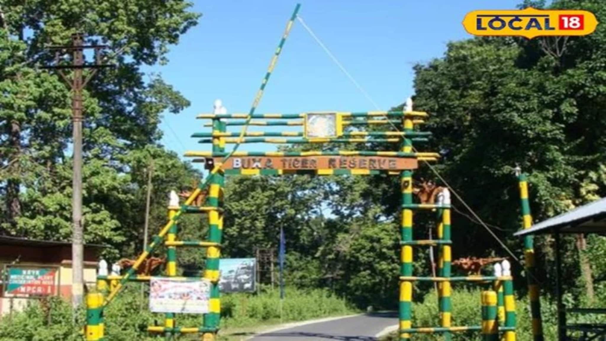 দোলে জলদাপাড়া ও বক্সা টাইগার রিজার্ভে শিকার রুখতে সতর্ক বনদফতর! হাই অ্যালার্ট জারি