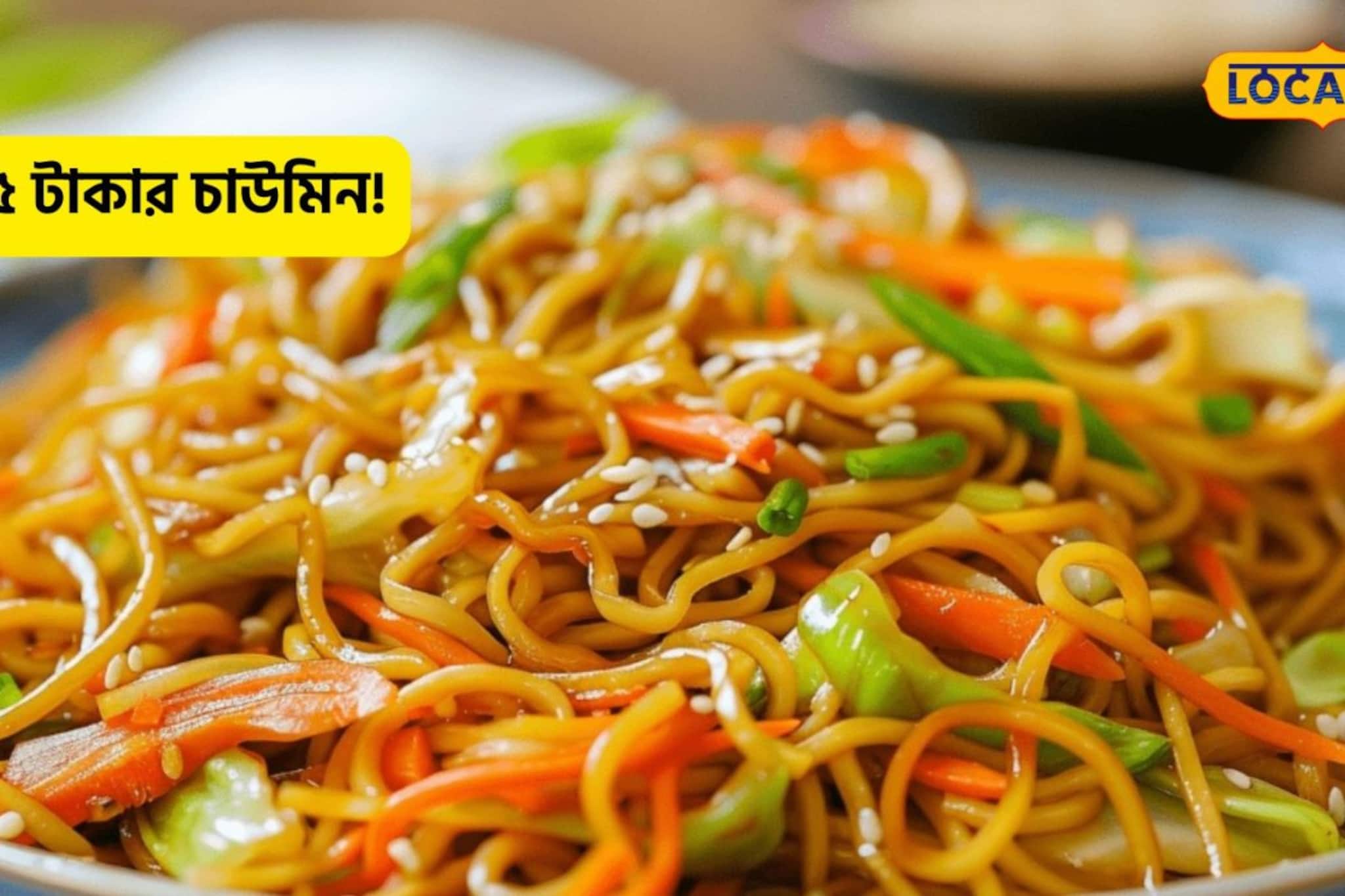 মাত্র পাঁচ টাকায় প্লেট ভর্তি চাউমিন! কোথায় পাবেন মন এবং পেট ভরানো 'টেস্টি স্ন্যাক্স'?