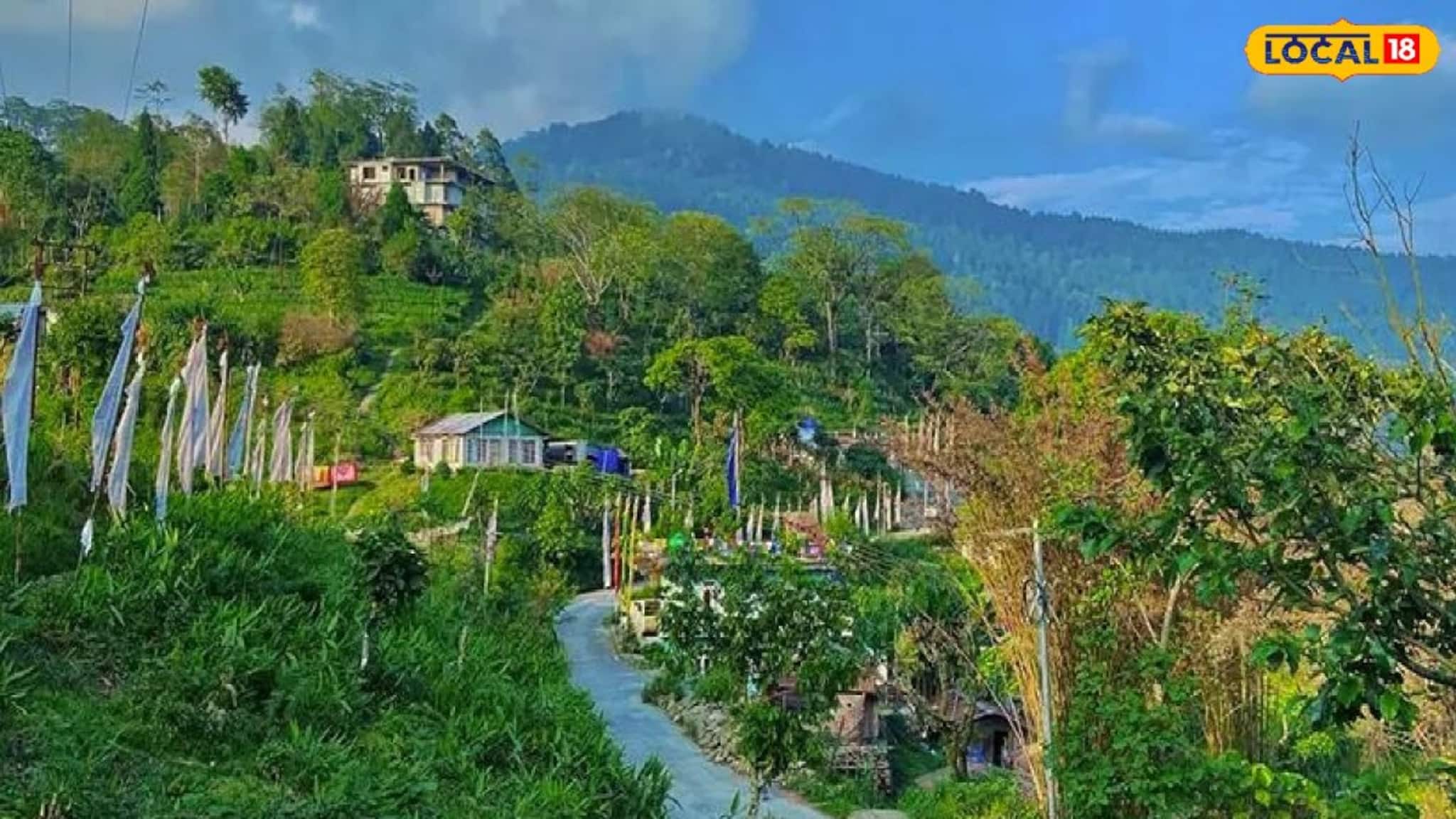 Darjeeling News: দার্জিলিংয়ের ভিড়ভাট্টা ভুলে যান, লামাহাট্টার খুব কাছেই লুকিয়ে এক টুকরো স্বর্গ! অলস দিন কাটানোর সেরা সুযোগ