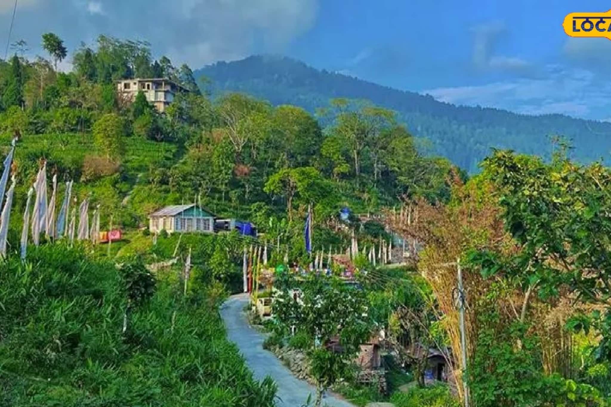 দার্জিলিংয়ের ভিড়ভাট্টা ভুলে লামাহাট্টার কাছেই লুকিয়ে এক টুকরো স্বর্গ! কাটবে অলস দিন