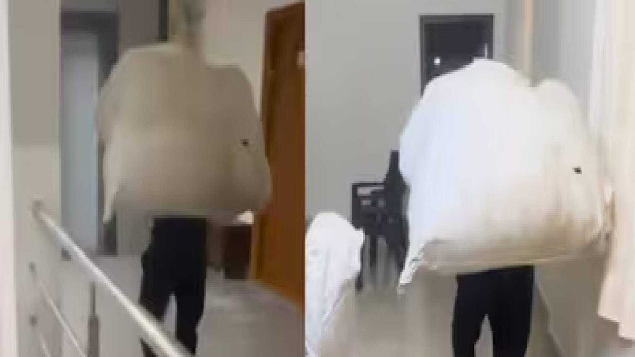 লিফট ব্যবহার করতে না দেওয়ায় ভারী পার্সেল নিয়ে সিঁড়ি ভেঙে উঠলেন ডেলিভারি কর্মী! ভাইরাল ভিডিয়ো ঘিরে তীব্র বিতর্ক