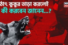 'কুকুর' হঠাৎ যদি তাড়া করে..! সঙ্গে সঙ্গে করুন এই 'কৌশল', জানুন বিশেষজ্ঞের 'টিপস'!