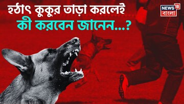 'কুকুর' হঠাৎ যদি তাড়া করে..! সঙ্গে সঙ্গে করুন এই 'কৌশল', জানুন বিশেষজ্ঞের 'টিপস'! 'কুকুর' হঠাৎ যদি তাড়া করে..! সঙ্গে সঙ্গে করুন এই 'কৌশল', জানুন বিশেষজ্ঞের 'টিপস'!