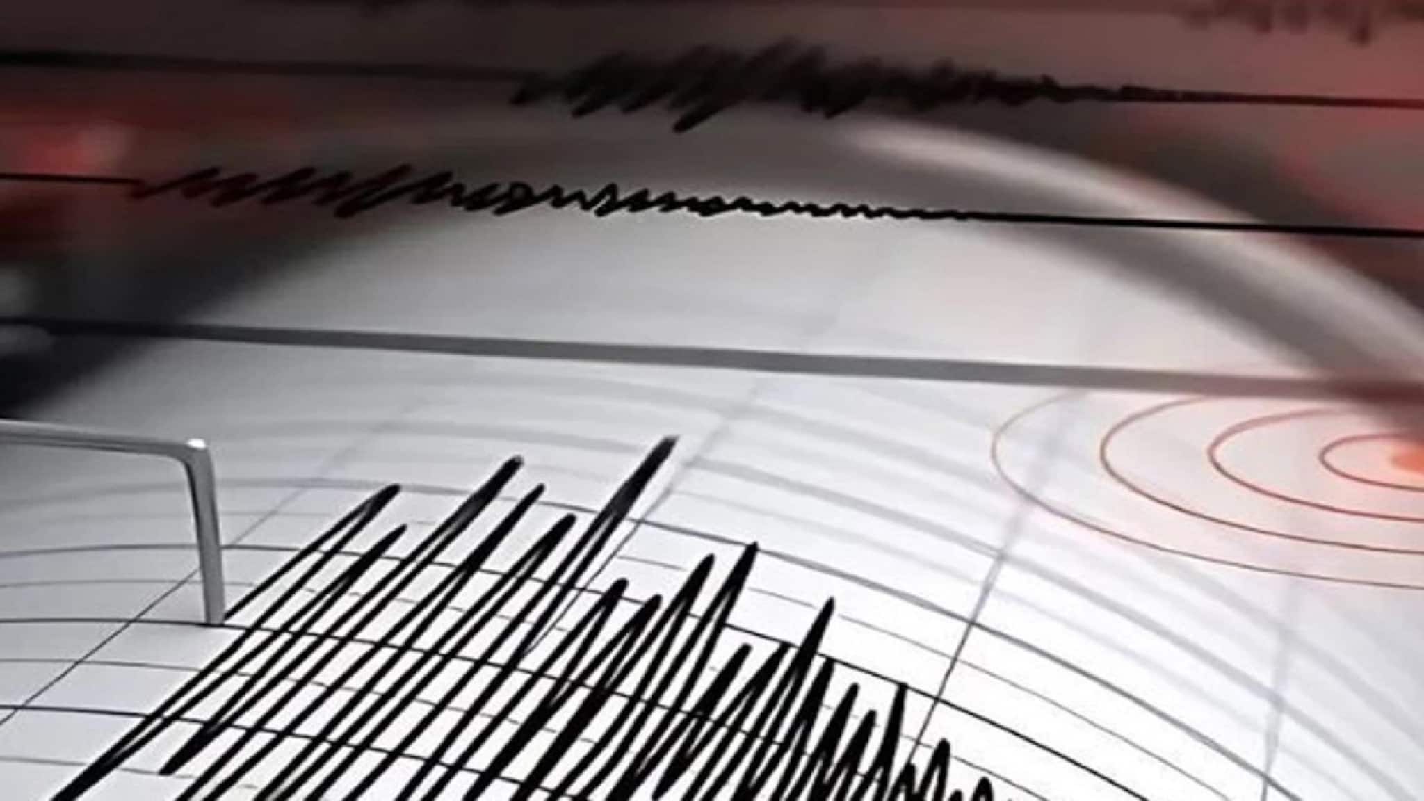 Kolkata Earthquake: একটানা ভয়াবহ কম্পন, ভয়াবহ ভূমিকম্পে কাঁপল বাংলা, আতঙ্কে বহুতল-অফিস থেকে রাস্তায় মানুষ