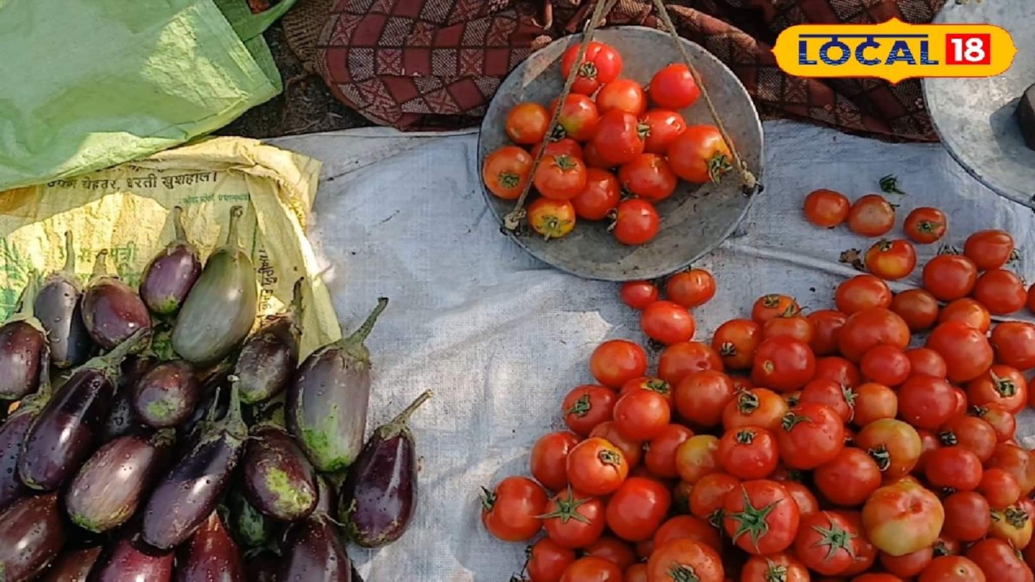 সবজি নষ্ট হয়ে যাওয়ার দিন অতীত, ভাগ্য খুলে যাবে চাষিদের! নয়া উদ্যোগে আসবে মোটা লাভ