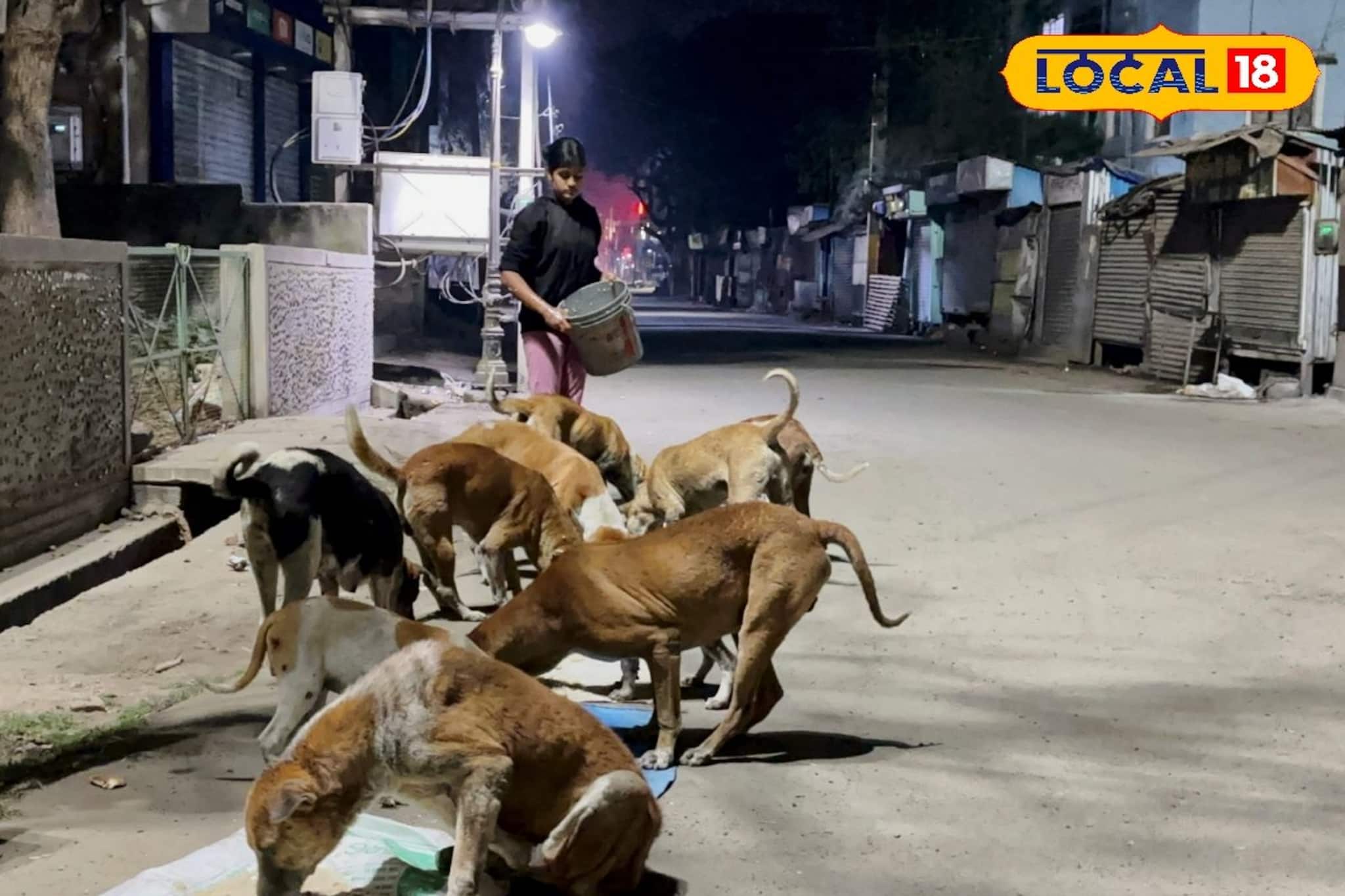 সামনে উচ্চমাধ্যমিক, কিন্তু রাত হলে ঘরে মন টেকে না! অবলাদের টানে রোজ বেরিয়ে পড়ে নন্দিনী