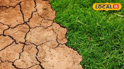 প্রতিকী ছবি