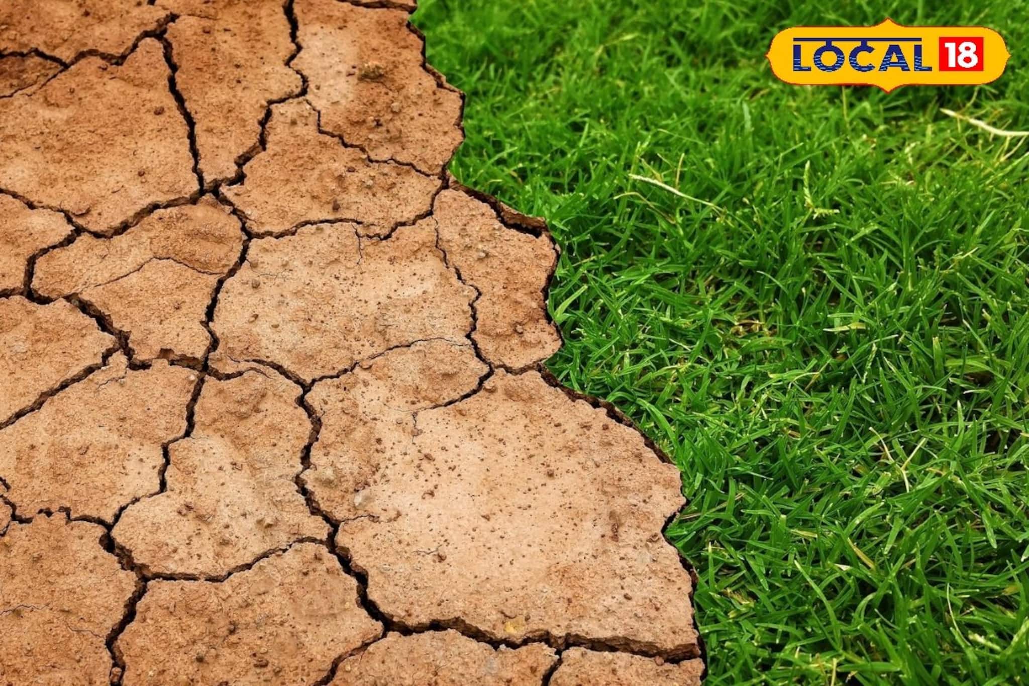 সাবধান না হলে বিপদ, পরিবেশ বাঁচাতে এবার আসরে খুদে পড়ুয়ারা! ছোটদের নাটকে ভয়ে বুক কাঁপবে