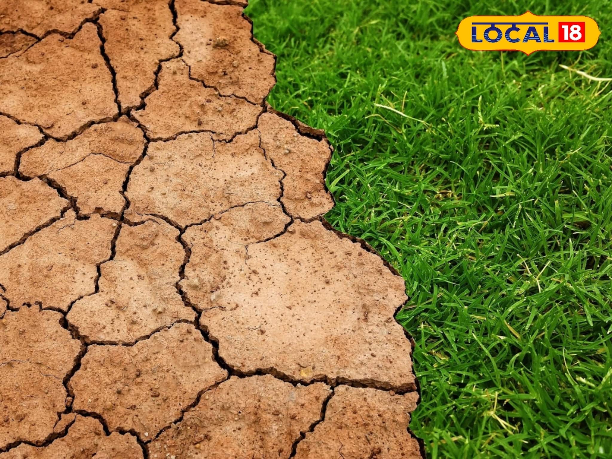 সাবধান না হলে বিপদ, পরিবেশ বাঁচাতে এবার আসরে খুদে পড়ুয়ারা! ছোটদের নাটকে ভয়ে বুক কাঁপবে সাবধান না হলে বিপদ, পরিবেশ বাঁচাতে এবার আসরে খুদে পড়ুয়ারা! ছোটদের নাটকে ভয়ে বুক কাঁপবে