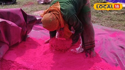 দোলযাত্রার আগে ভেষজ আবির তৈরির ব্যস্ততা