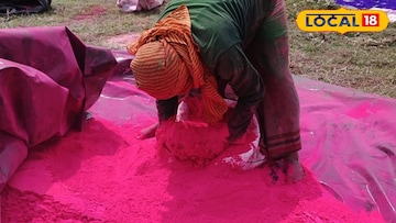 দোলযাত্রার