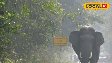 রাস্তায়