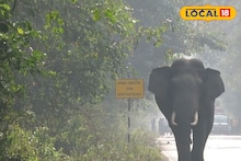 Elephant vs Bus: বাসের গতি বেশি! দেখেই মেজাজ হারাল গজরাজ, তারপর যা কাণ্ড! জলপাইগুড়ির হাড়হিম করা ভিডিও দেখে শিউরে উঠবেন