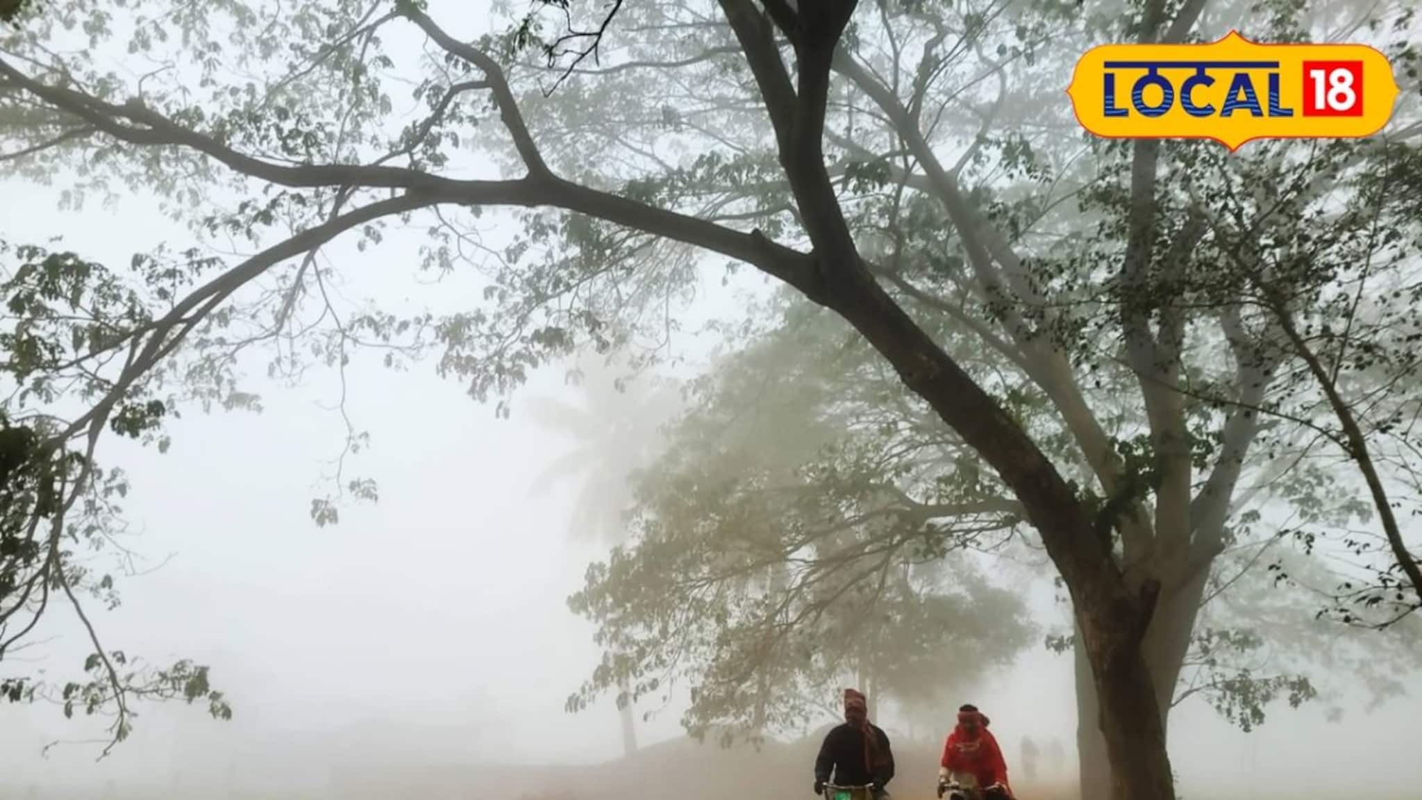 IMD Jhargram Weather Update: শীত বিদায়ের আগে কুয়াশার খেলা! ঝাড়গ্রাম এর আবহাওয়াই ব্যাপক বদল, কেমন থাকবে আবহাওয়া জানাল হাওয়া অফিস