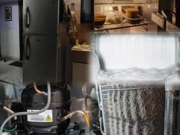 ফ্রিজ 'ঘড়ঘড়' শব্দ করছে...? মেকানিক ছাড়ুন, দূর করুন ম্যাজিকে! টাকা বাঁচিয়ে দেবে ৩ মিনিট ফ্রিজ 'ঘড়ঘড়' শব্দ করছে...? মেকানিক ছাড়ুন, দূর করুন ম্যাজিকে! টাকা বাঁচিয়ে দেবে ৩ মিনিট