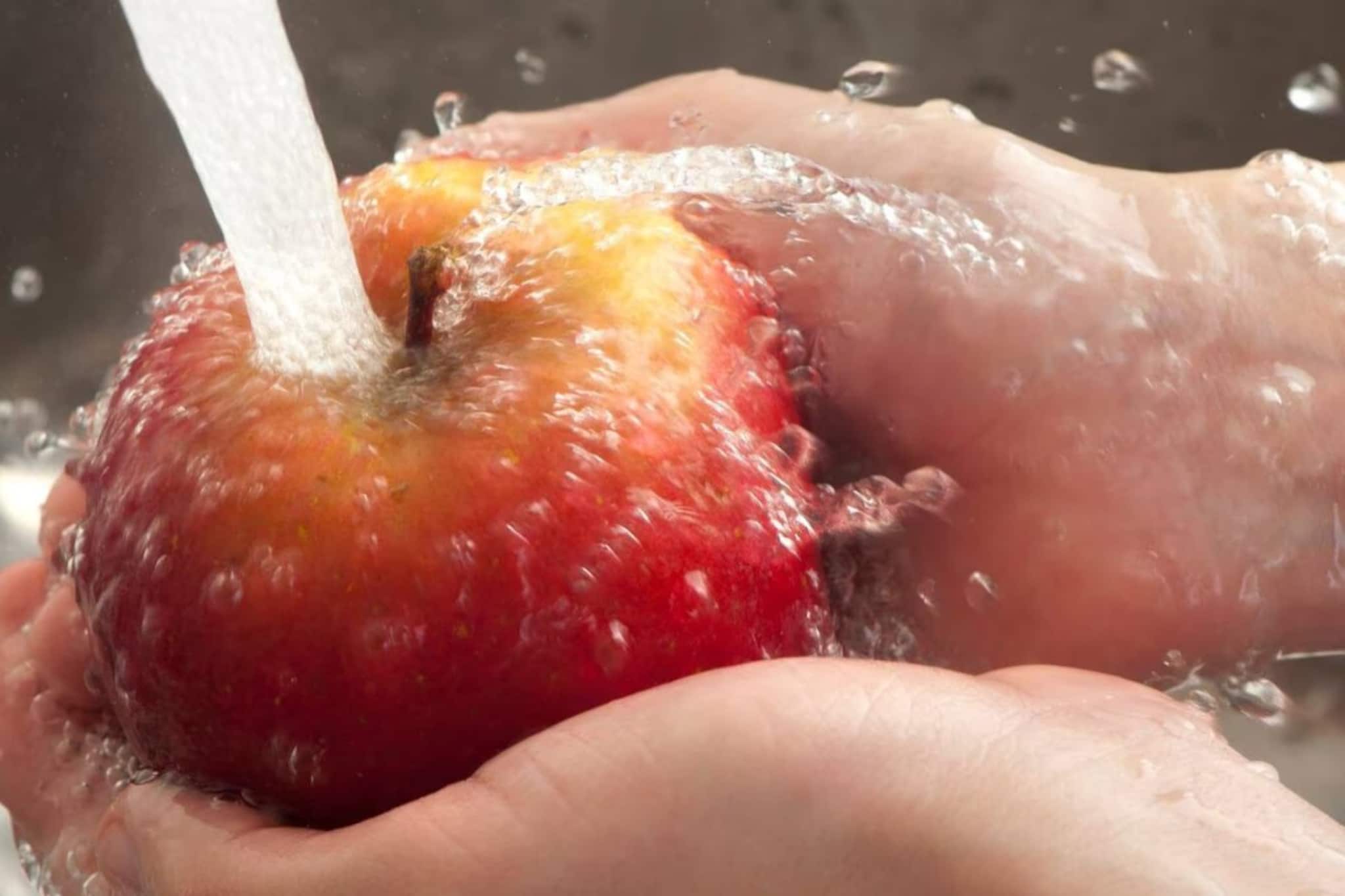 আচ্ছা, বলুন তো, ভারতের আপেল রাজধানী হিসেবে কোন শহর পরিচিত? ৯৯% মানুষইসঠিক উত্তর জানে না আচ্ছা, বলুন তো, ভারতের আপেল রাজধানী হিসেবে কোন শহর পরিচিত? ৯৯% মানুষইসঠিক উত্তর জানে না