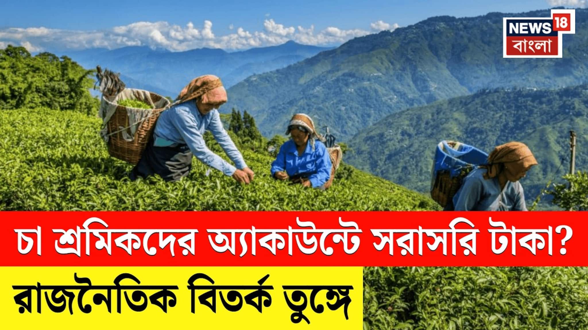 চা শ্রমিকদের অ্যাকাউন্টে সরাসরি টাকা, BJP সাংসদের প্রস্তাব ঘিরে তুঙ্গে 'তরজা'