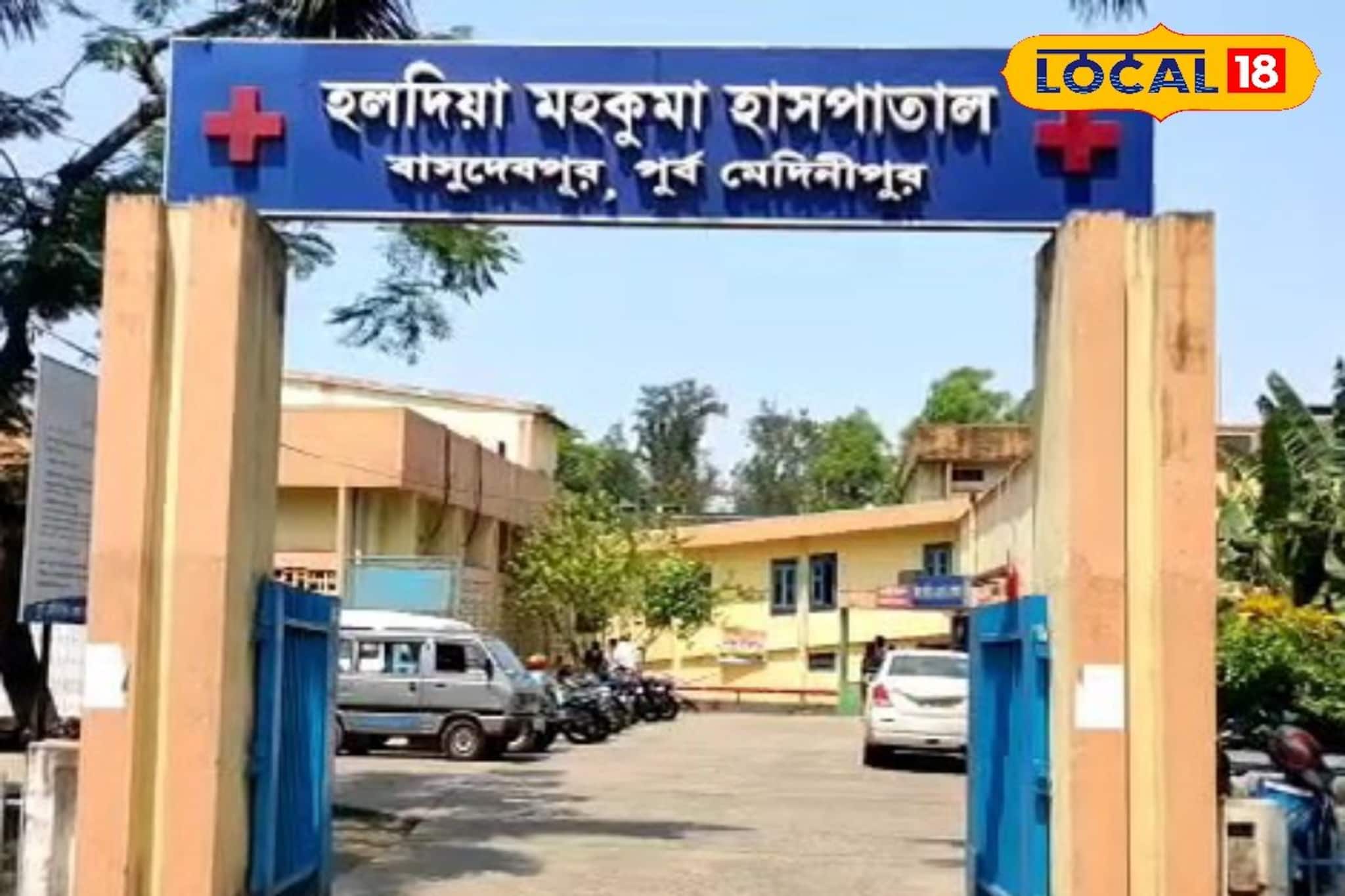 উচ্চমাধ্যমিকের আগেই মর্মান্তিক পরিণতি! গাছের ডাল কাটতে গিয়ে অকালে প্রাণ গেল পরীক্ষার্থীর