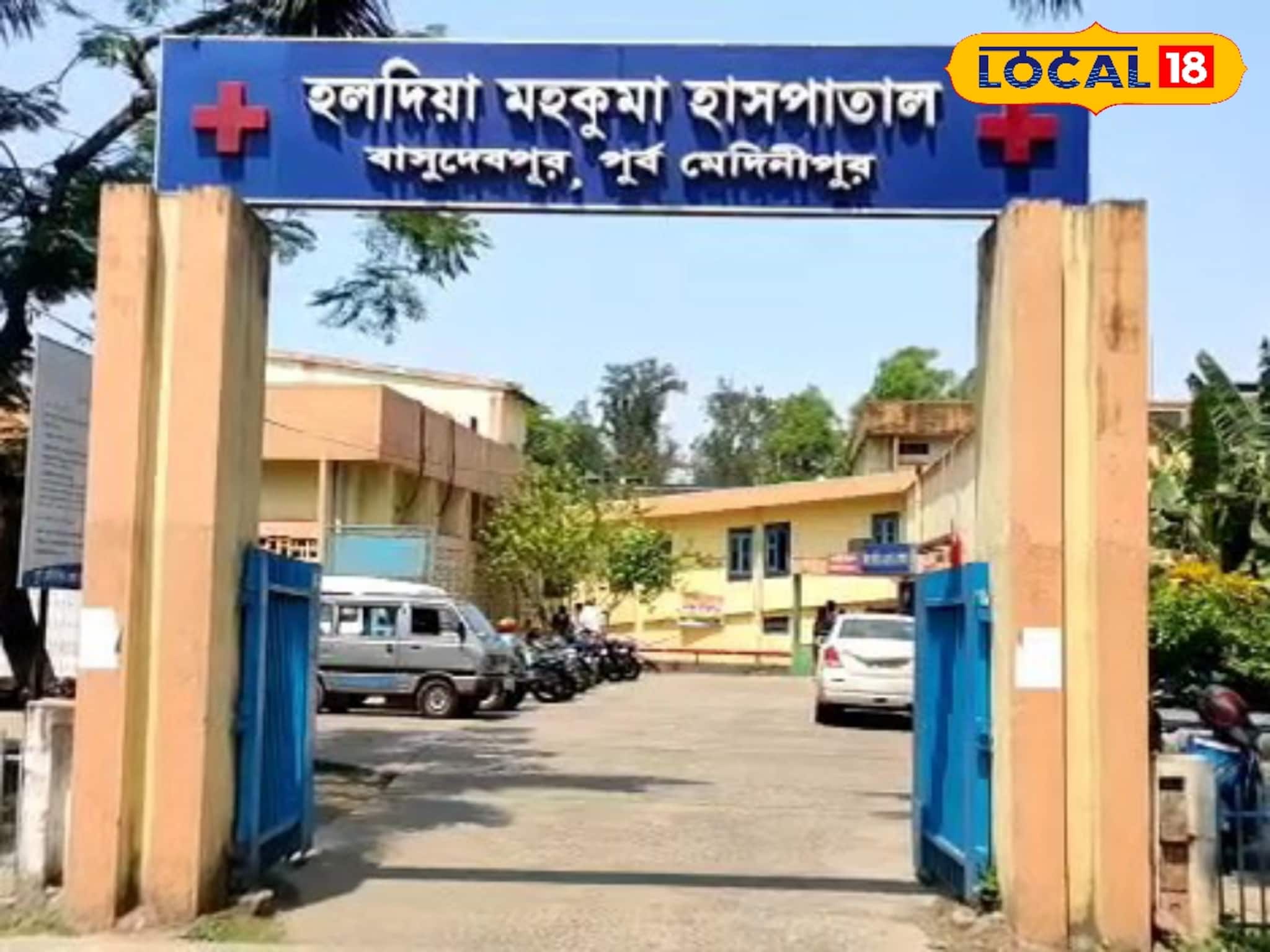 উচ্চমাধ্যমিকের আগেই মর্মান্তিক পরিণতি! গাছের ডাল কাটতে গিয়ে অকালে প্রাণ গেল পরীক্ষার্থীর